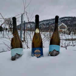 Borkóstoló az Éliás Birtokon