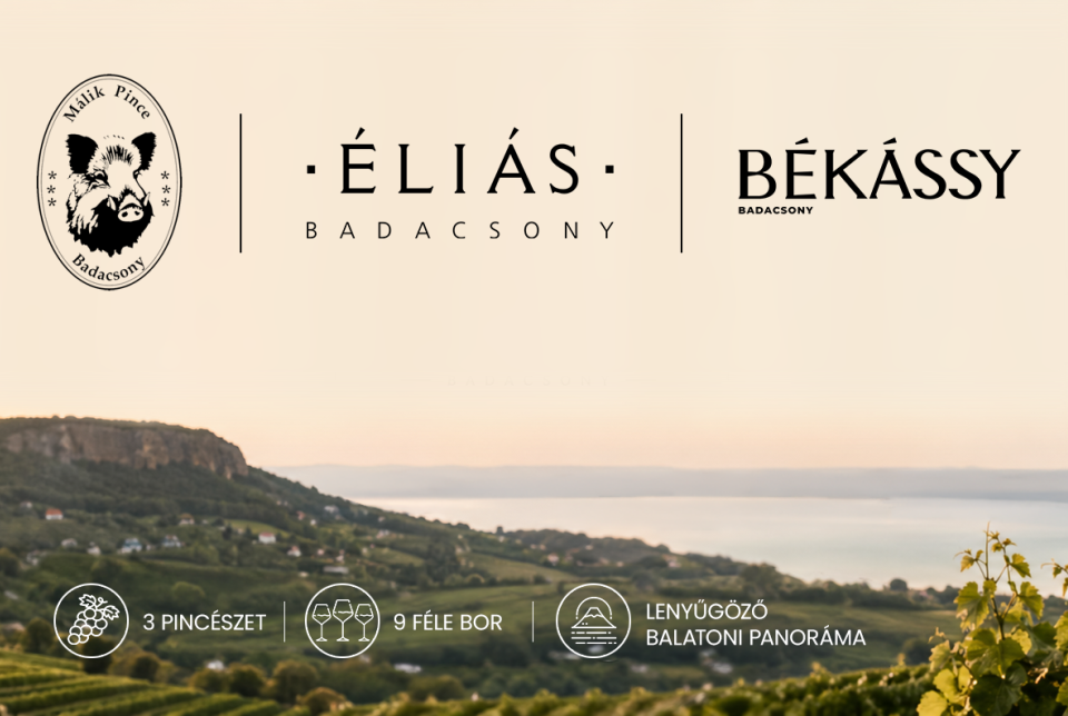 Vezetett bortúra Badacsonyban – dűlők, borok és panoráma
