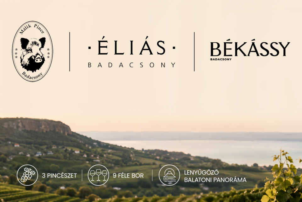 Vezetett bortúra Badacsonyban – dűlők, borok és panoráma