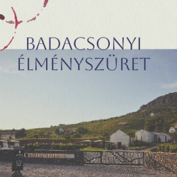 Badacsonyi élményszüret a Pátzay Badacsonyban