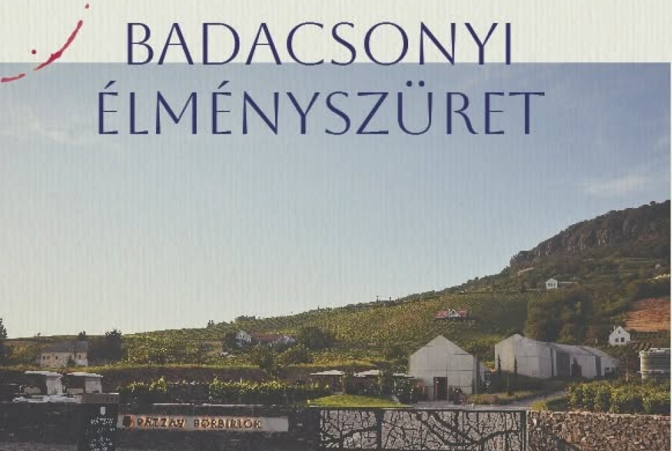 Badacsonyi élményszüret a Pátzay Badacsonyban