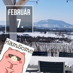 Disznólkodás Sabaron