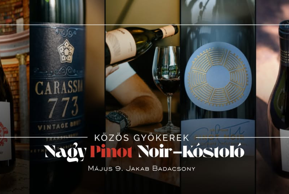 Nagy Pinot Noir kóstoló a Jakab Badacsonyban