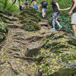Túraútvonal a Szent György-hegyen - Badacsonyi Turisztikai és Borút Egyesület