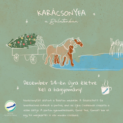 Karácsonyfa állítás a Balatonban
