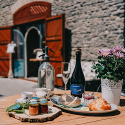 VIII. Kéknyelű Piknik az Istvándy Ligetben