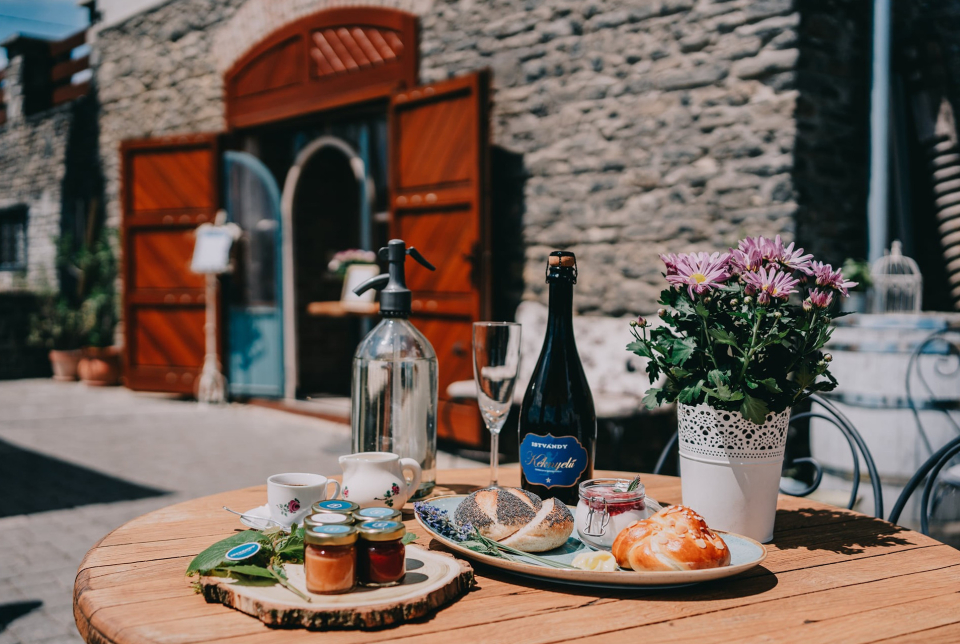 VIII. Kéknyelű Piknik az Istvándy Ligetben