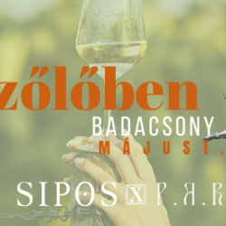 Piknik a szőlőben- Sipos Borház