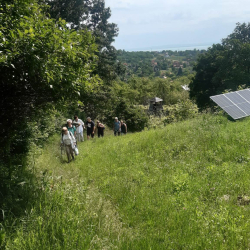 Vezetett túra a salföldi pálos kolostor romjaihoz - Badacsonyi Turisztikai és Borút Egyesület