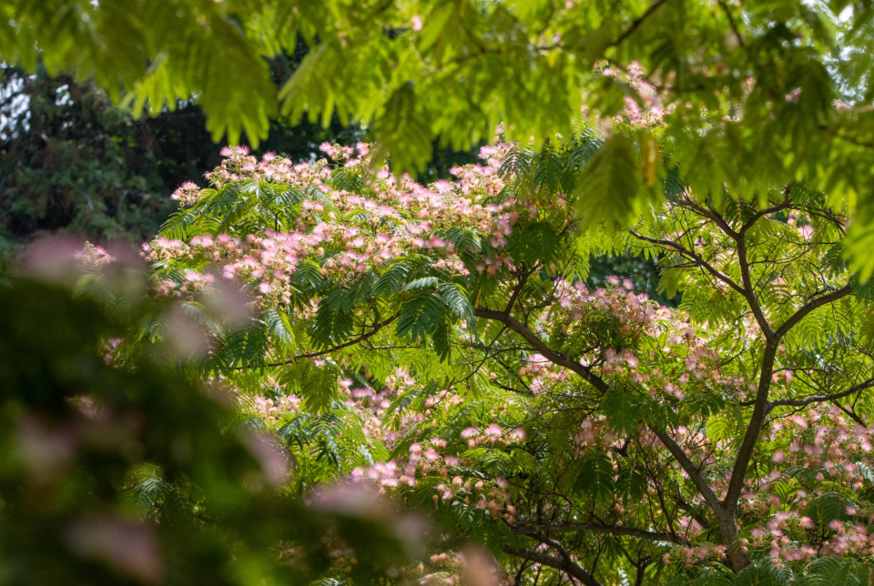 Nyárbúcsuztató borvacsora a Follyban