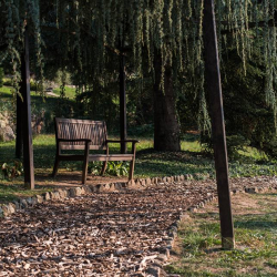 Folly Arborétum és Borászat
