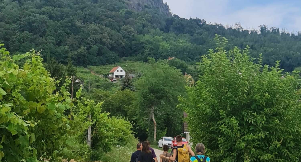 Badacsonyi Turisztikai és Borút Egyesület