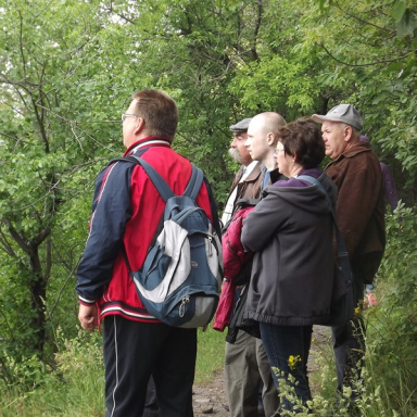 Guided tours in the Badacsony Region