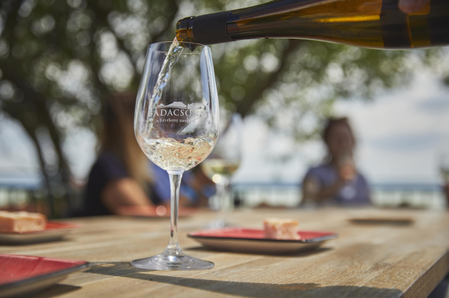 Wines of Badacsony
