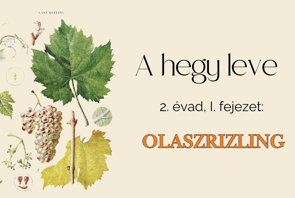 A hegy leve: olaszrizling - Pláne Borterasz