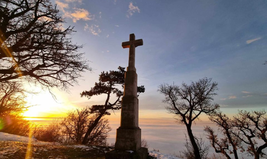 Szűcs Hajnalka fotója Szűcs Hajnalka fotója