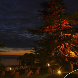 Fényfestéses kerti séta a Folly Arborétumban