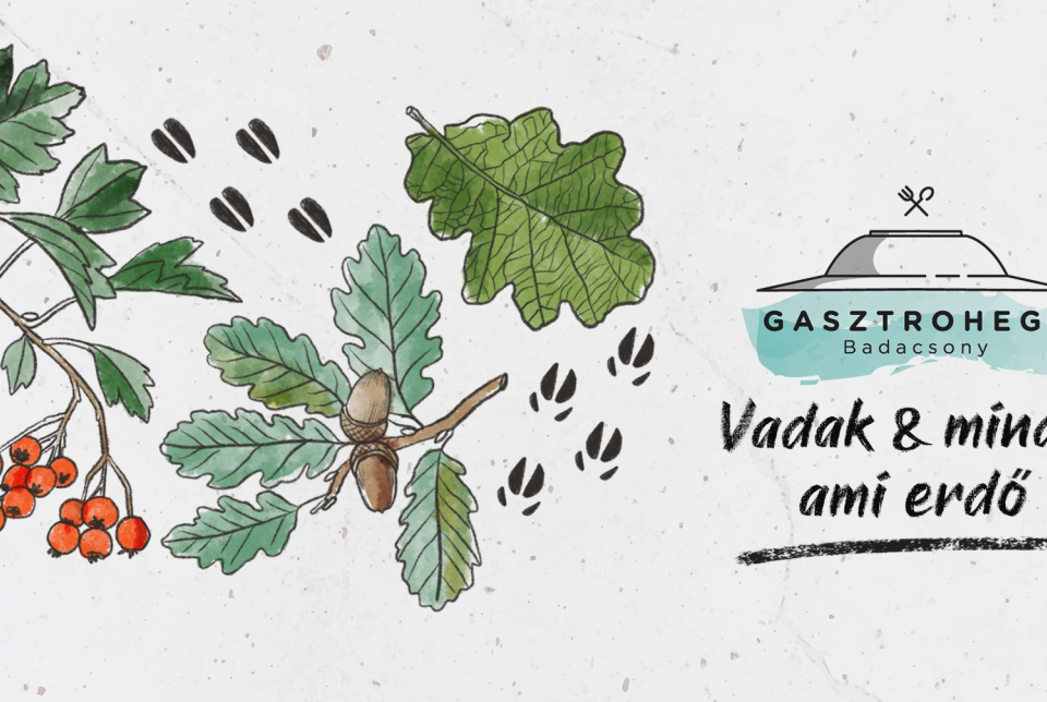 Gasztrohegy • Vadak & minden, ami erdő