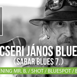 Sabar Blues 7. - Ecseri János Blues Fesztivál