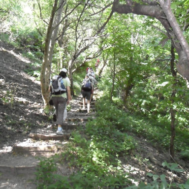 Guided tours in the Badacsony Region